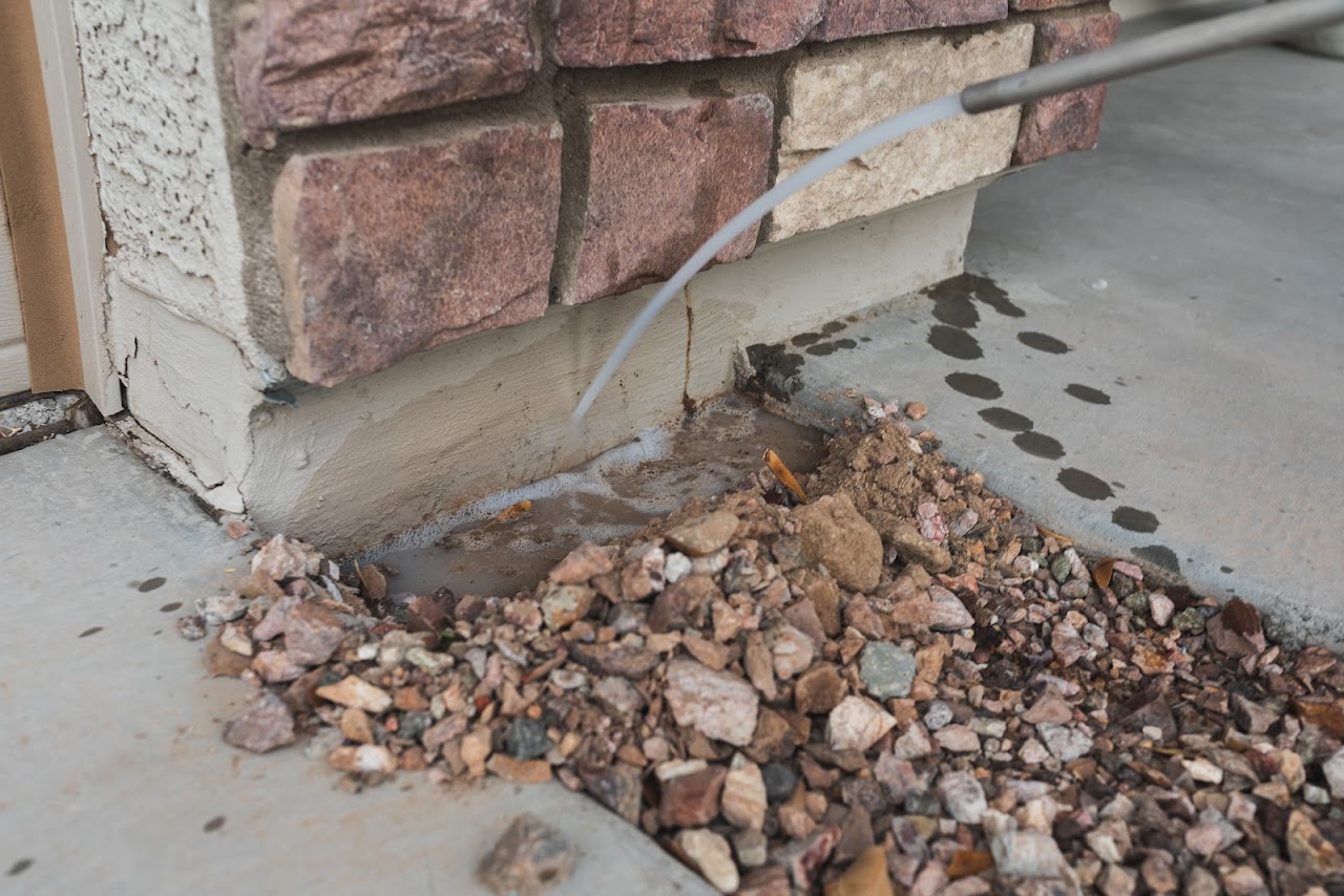 Greenleaf Pest Control project